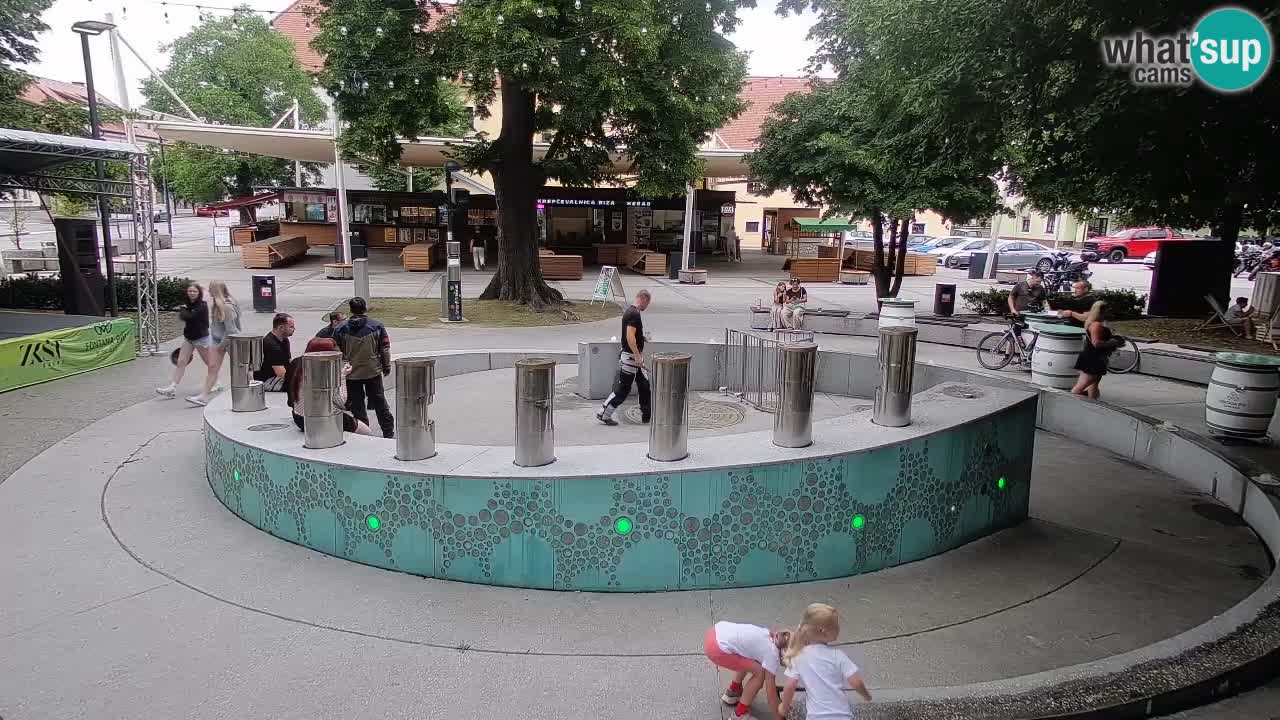 Fontaine à bière LIVE webcam – Or vert – Žalec