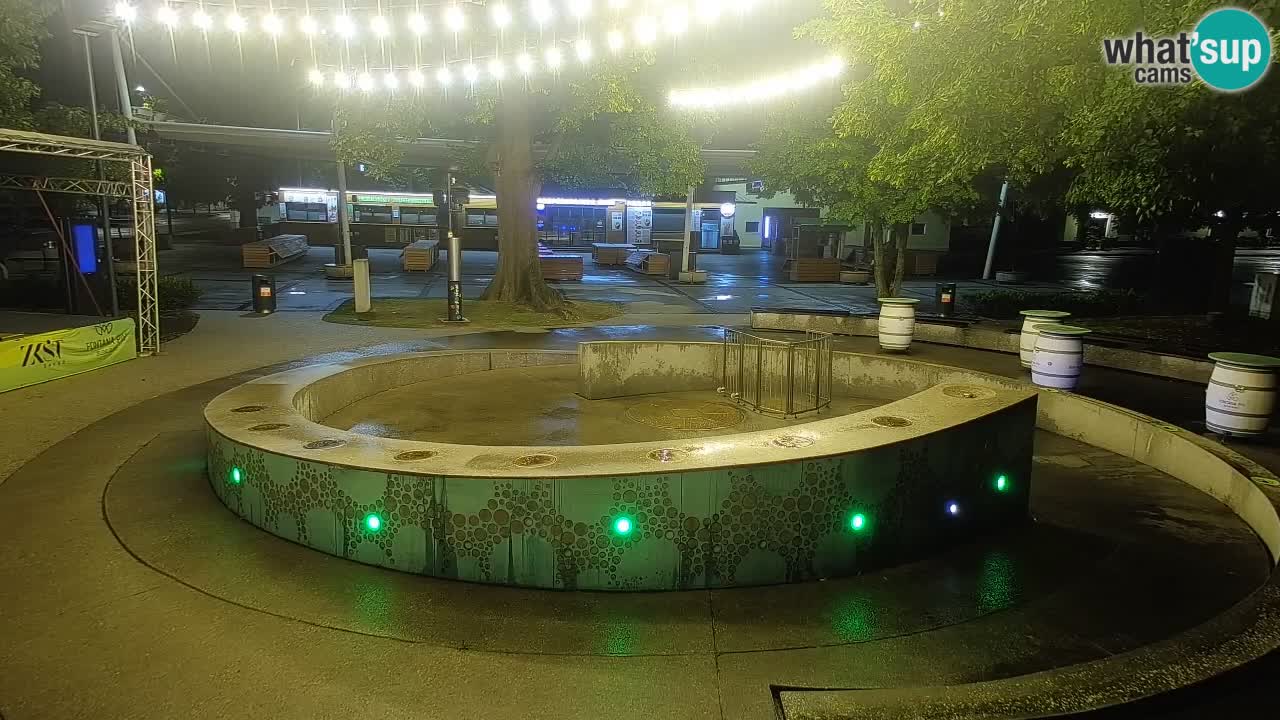 Web kamera Fontana piva – Zeleno zlato – Žalec