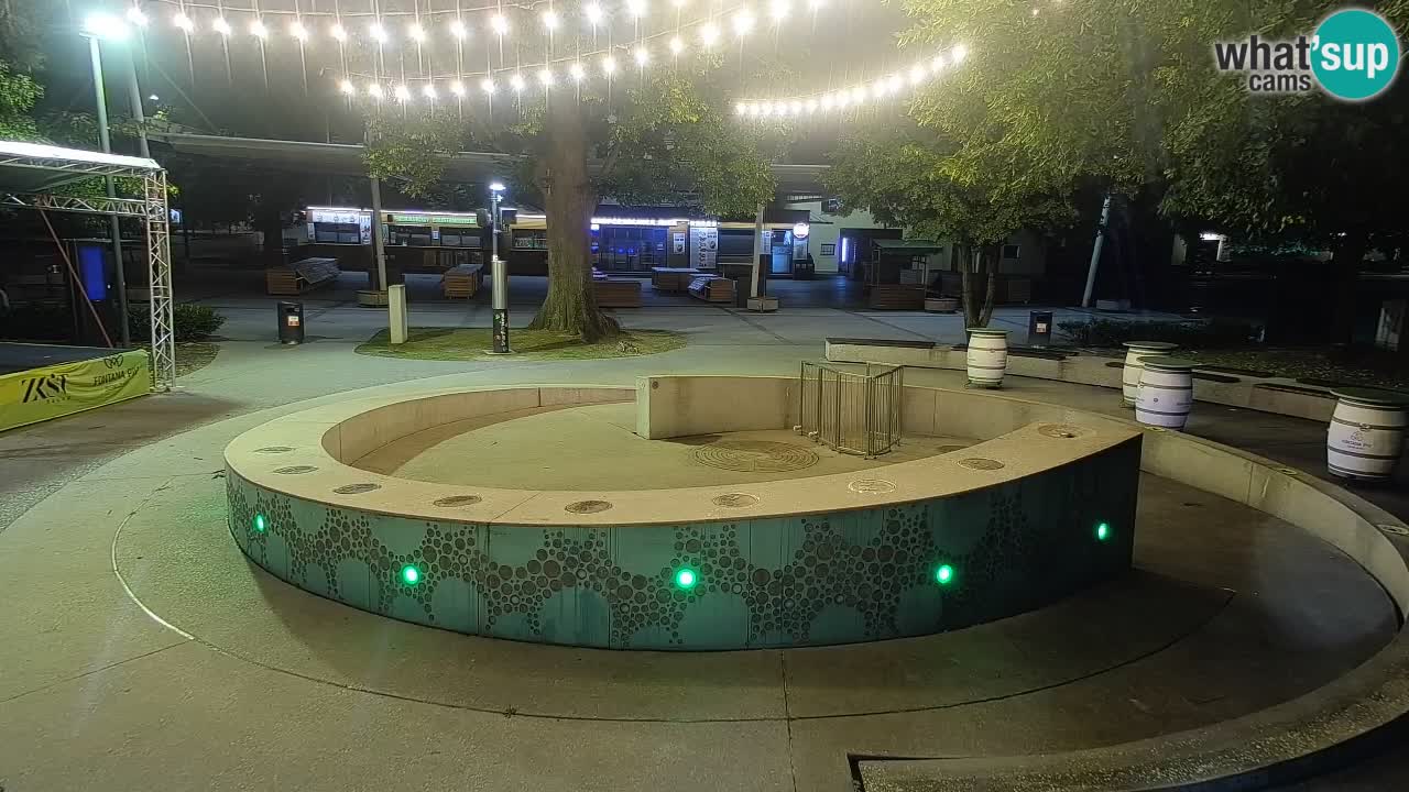 Bier-Springbrunnen Webcam Žalec – Grünen Goldes