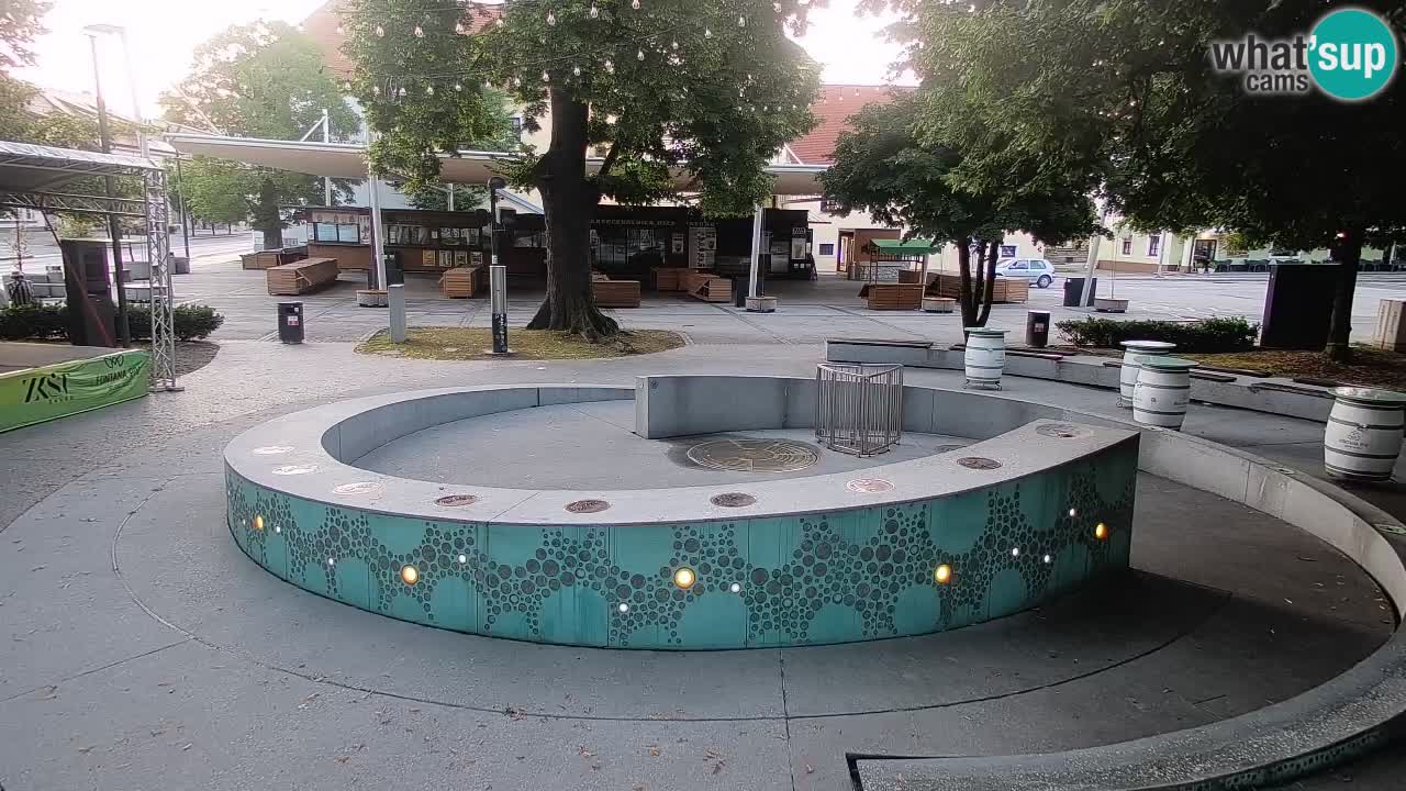 Bier-Springbrunnen Webcam Žalec – Grünen Goldes