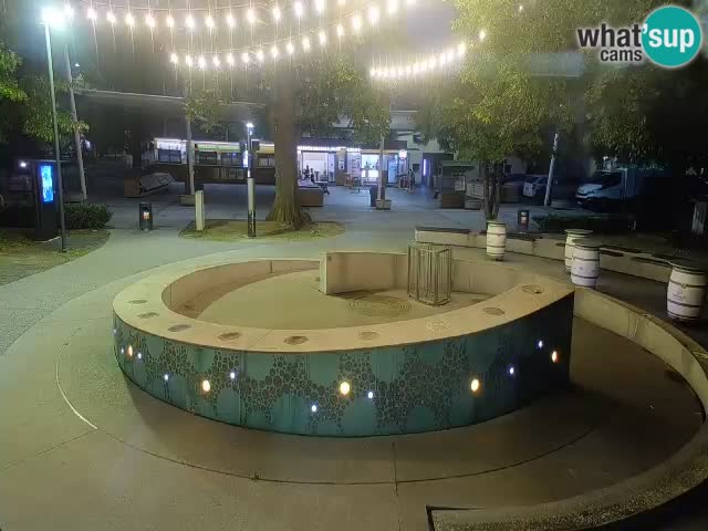 Bier-Springbrunnen Webcam Žalec – Grünen Goldes