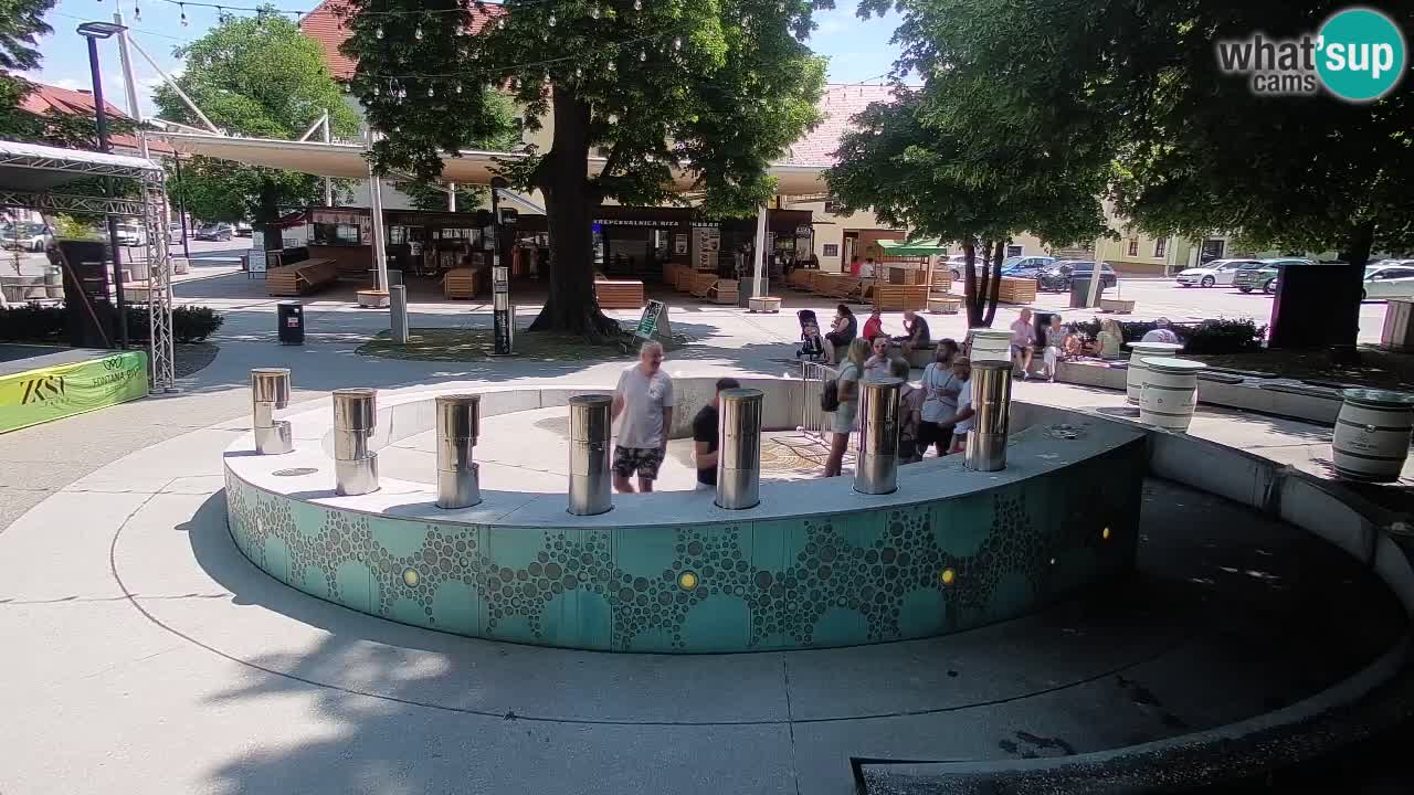 Camera en vivo Fuente de cerveza – Oro verde – Žalec