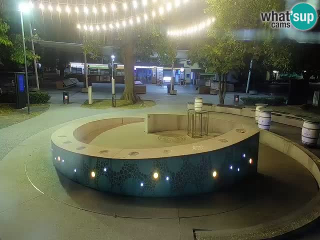 Spletna kamera Fontana Piv – Zeleno zlato Žalec