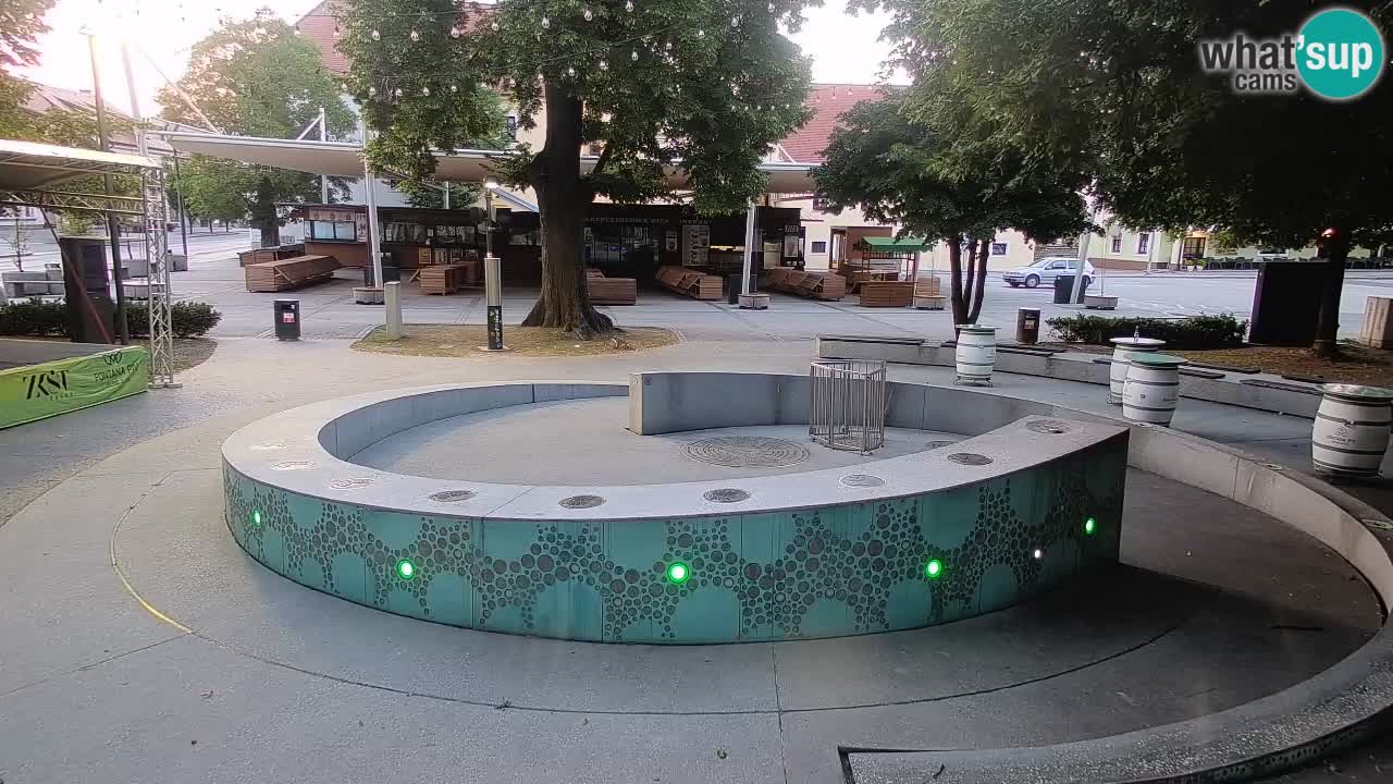 Spletna kamera Fontana Piv – Zeleno zlato Žalec