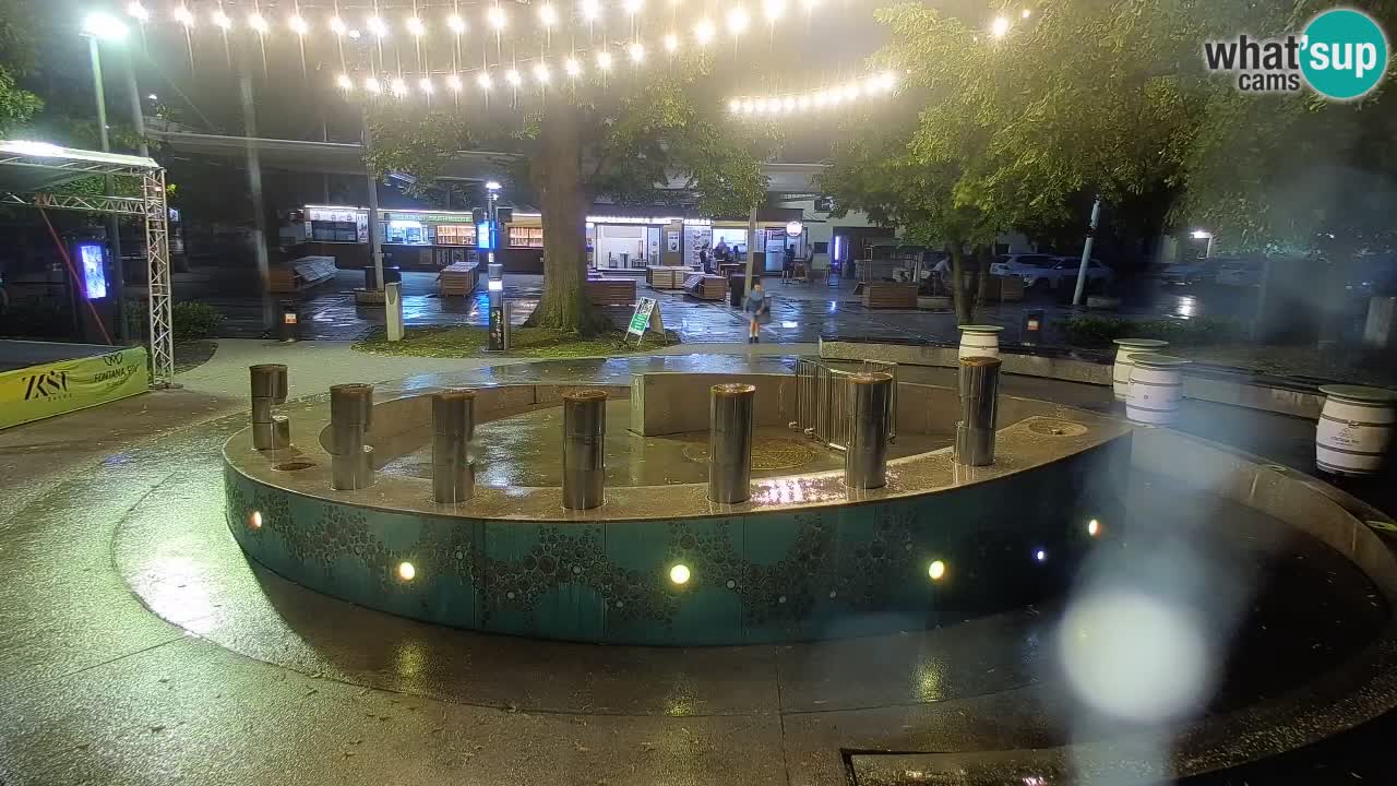 Camera en vivo Fuente de cerveza – Oro verde – Žalec