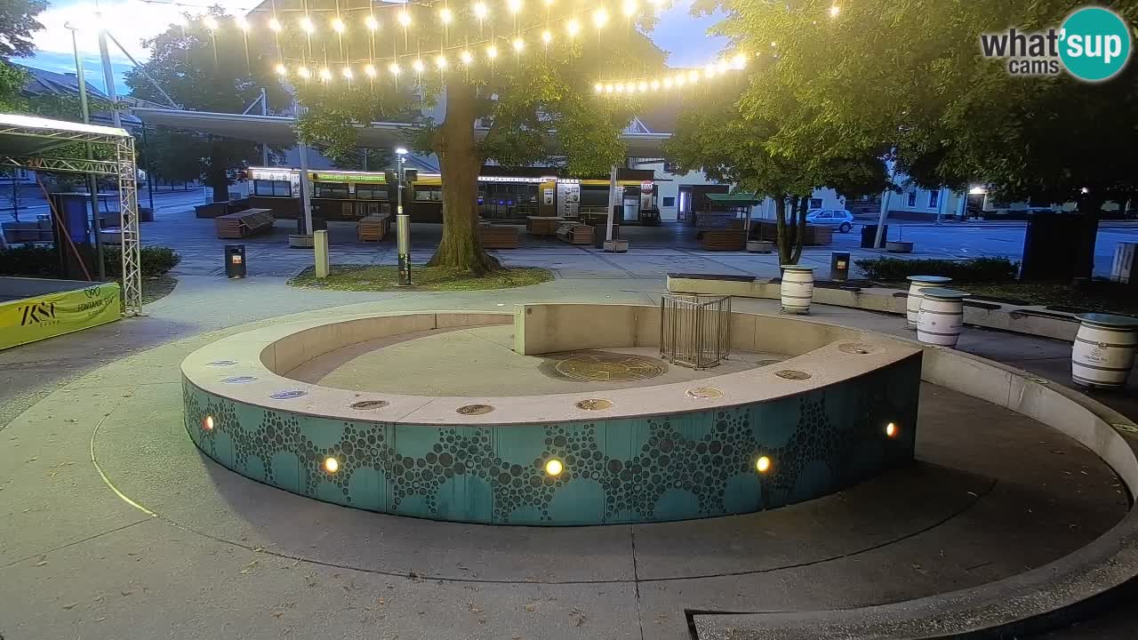 Fontaine à bière LIVE webcam – Or vert – Žalec