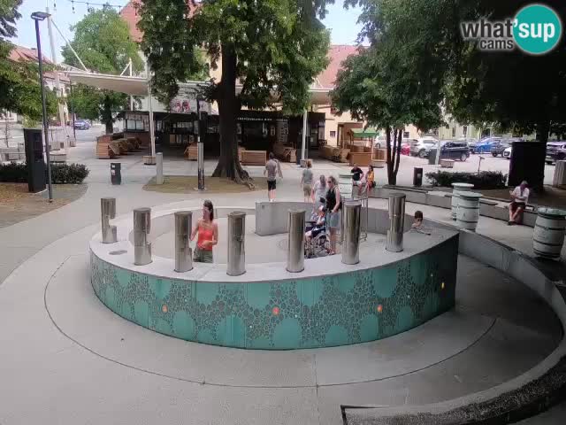 Camera en vivo Fuente de cerveza – Oro verde – Žalec