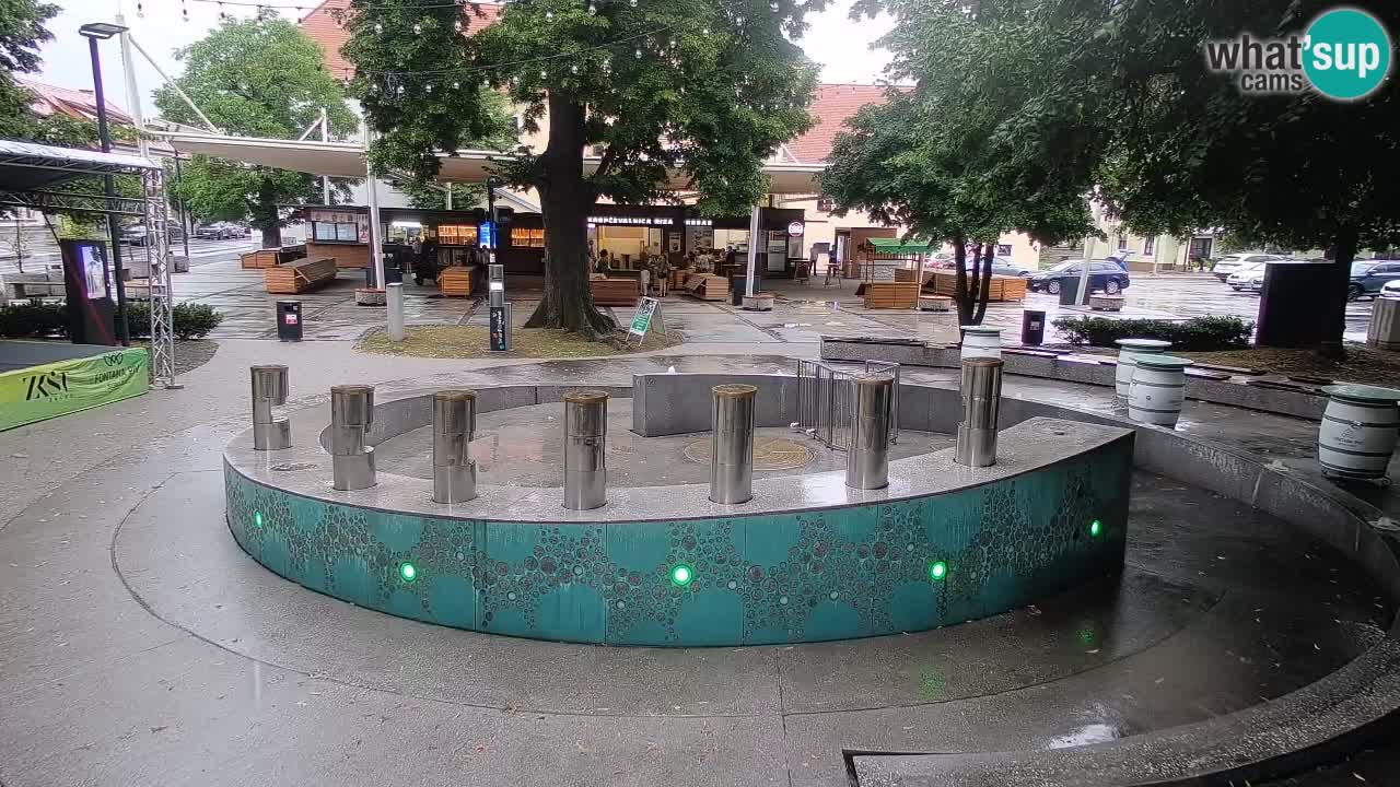 Web kamera Fontana piva – Zeleno zlato – Žalec