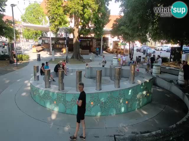 Fontaine à bière LIVE webcam – Or vert – Žalec