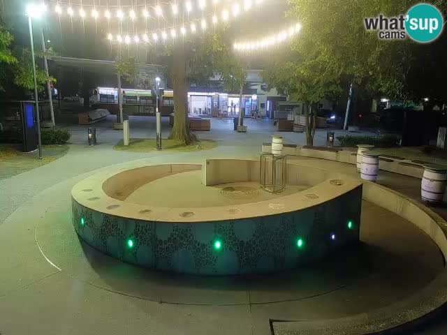Fontaine à bière LIVE webcam – Or vert – Žalec