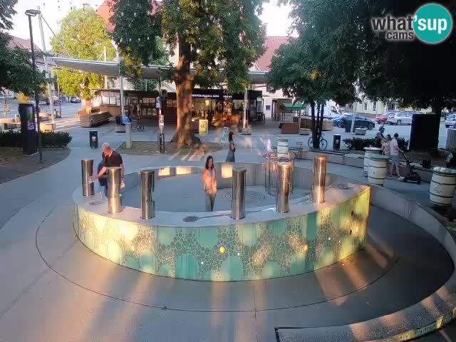 Fontaine à bière LIVE webcam – Or vert – Žalec