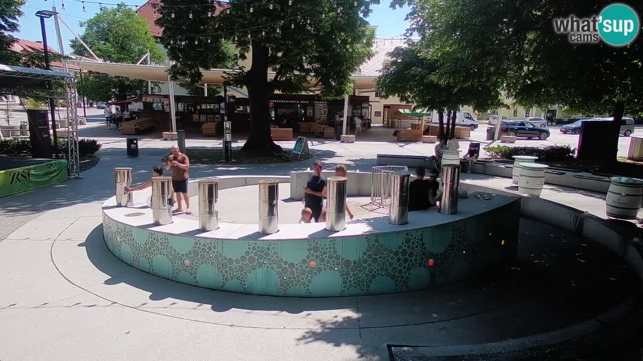 Fontaine à bière LIVE webcam – Or vert – Žalec