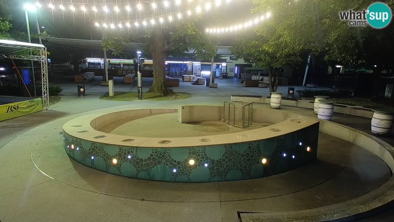 Fontana di birra Webcam – Oro verde – Žalec
