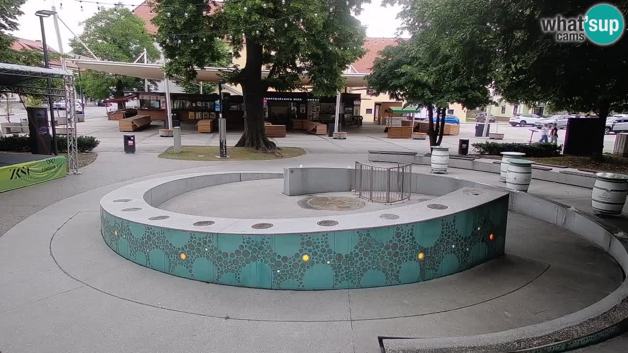 Web kamera Fontana piva – Zeleno zlato – Žalec