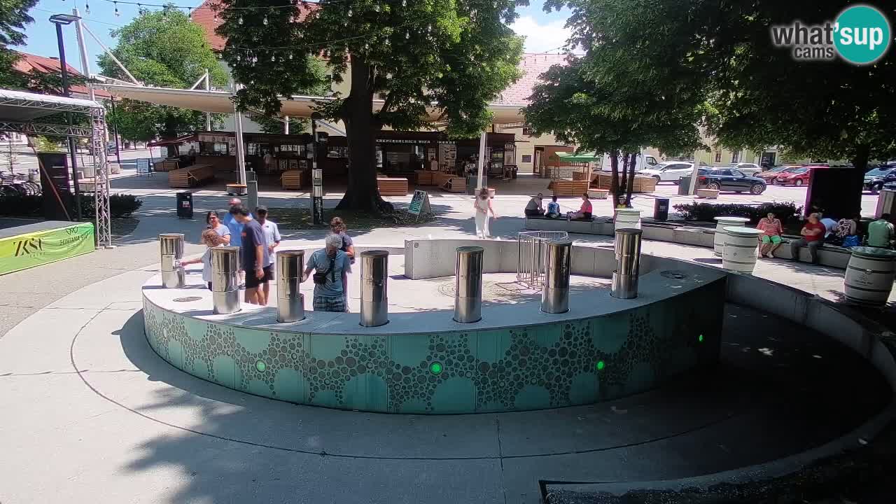 Bier-Springbrunnen Webcam Žalec – Grünen Goldes