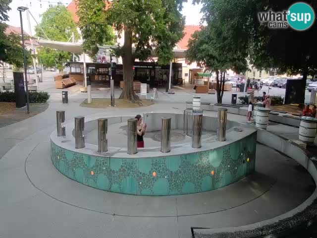 Camera en vivo Fuente de cerveza – Oro verde – Žalec