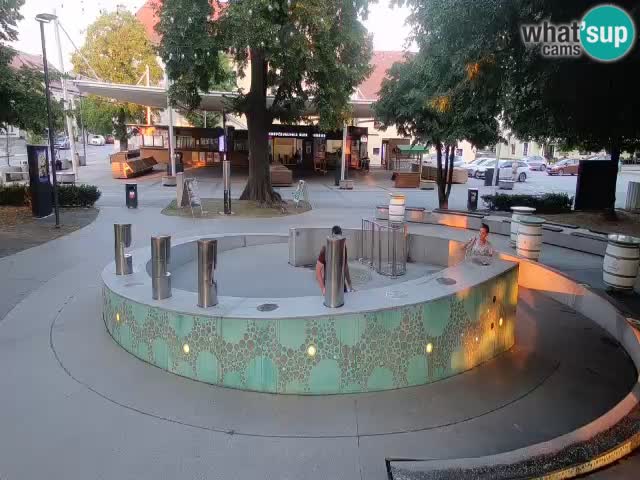 Fontana di birra Webcam – Oro verde – Žalec
