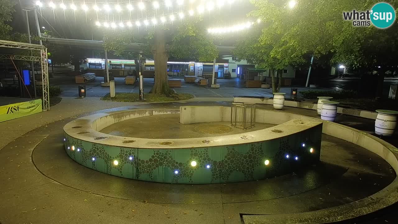 Camera en vivo Fuente de cerveza – Oro verde – Žalec