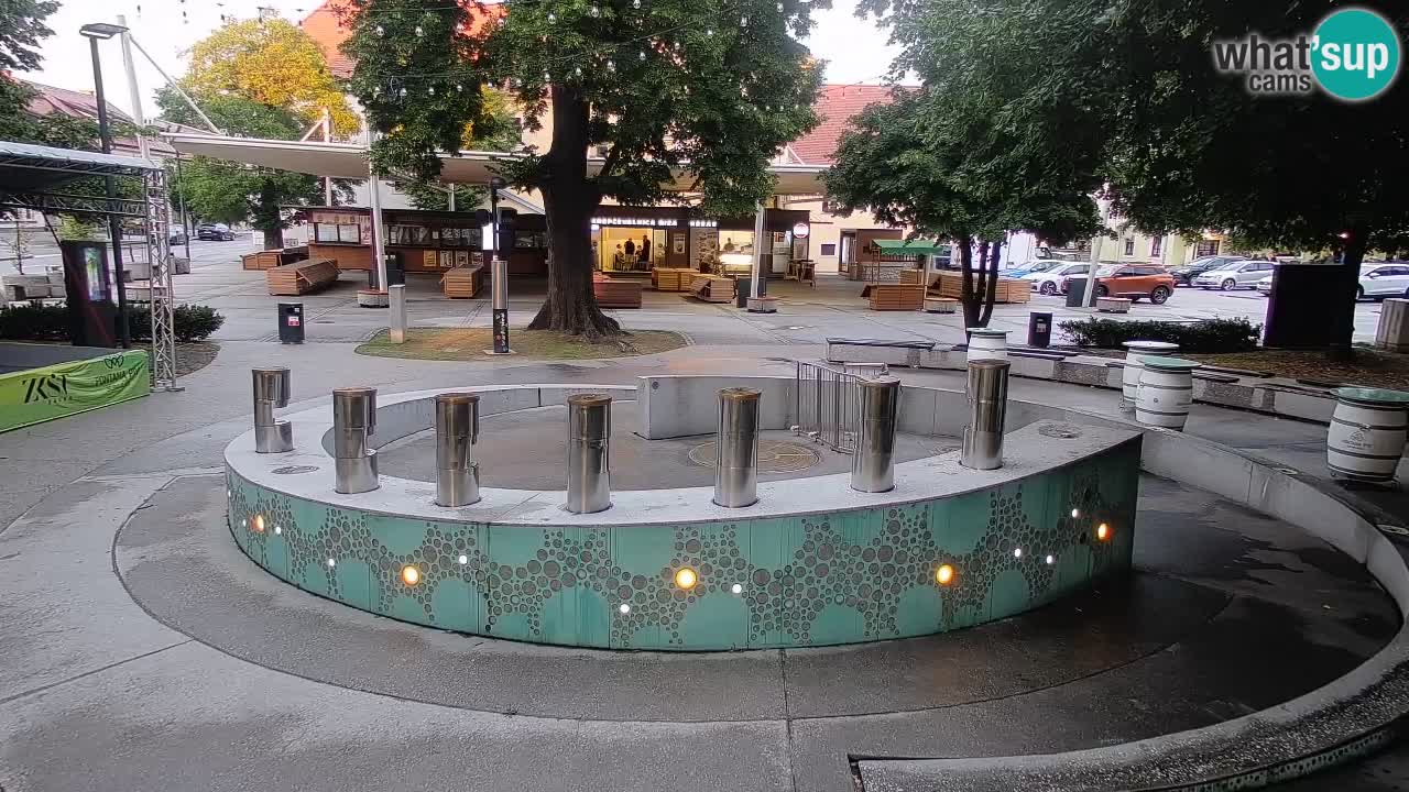 Bier-Springbrunnen Webcam Žalec – Grünen Goldes