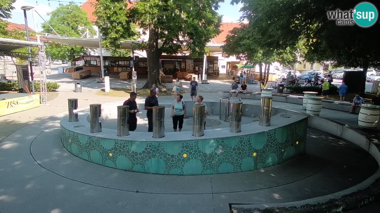 Camera en vivo Fuente de cerveza – Oro verde – Žalec