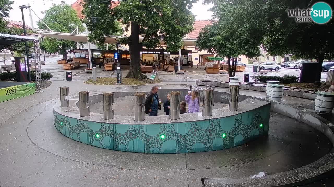 Bier-Springbrunnen Webcam Žalec – Grünen Goldes