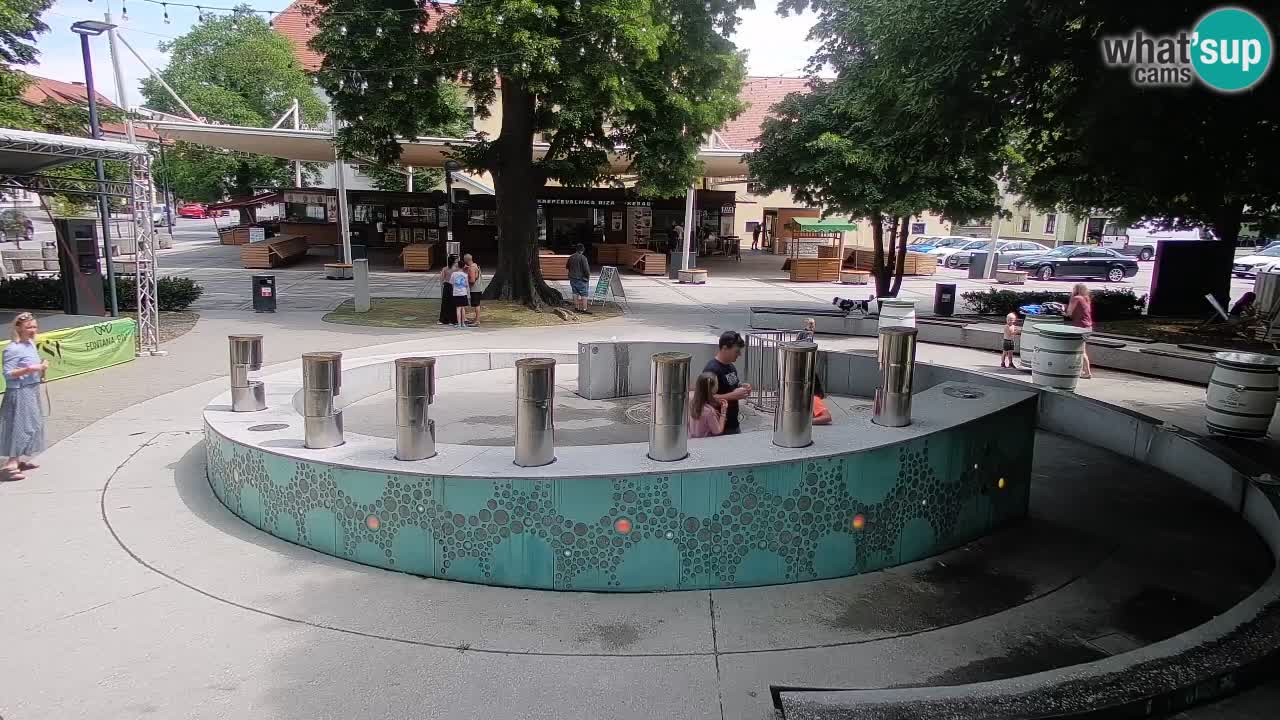 Fontaine à bière LIVE webcam – Or vert – Žalec