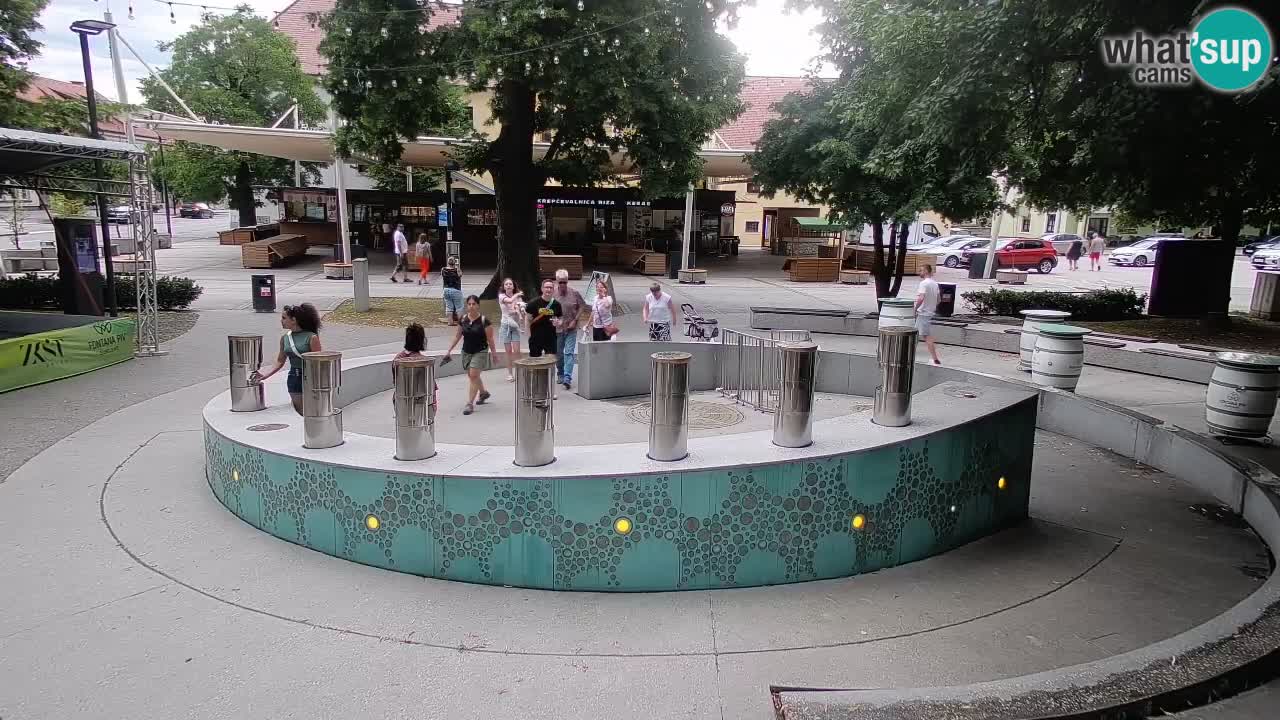 Fontaine à bière LIVE webcam – Or vert – Žalec