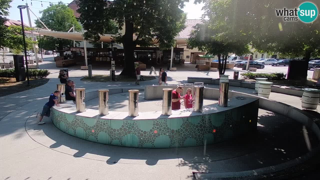 Bier-Springbrunnen Webcam Žalec – Grünen Goldes