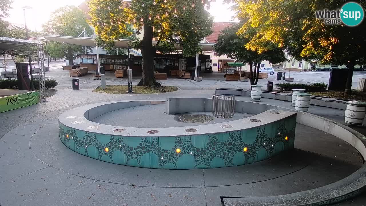 Fontana di birra Webcam – Oro verde – Žalec