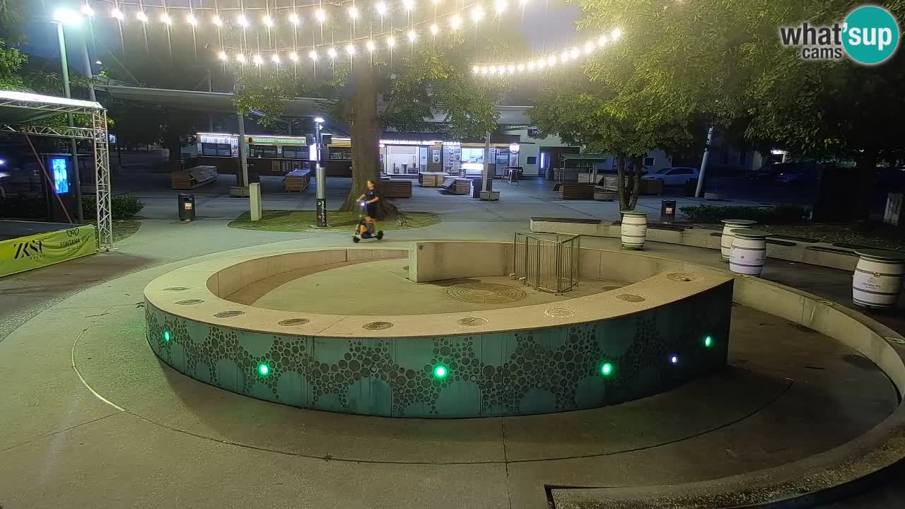 Fontaine à bière LIVE webcam – Or vert – Žalec