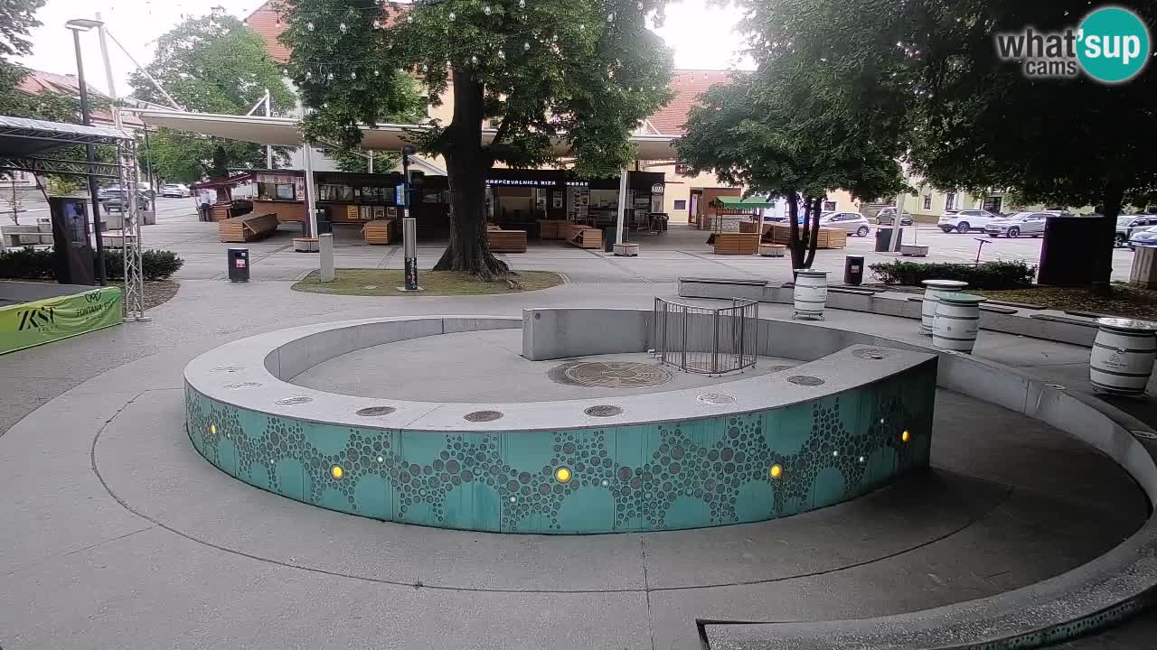 Fontaine à bière LIVE webcam – Or vert – Žalec