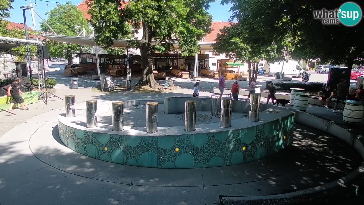 Bier-Springbrunnen Webcam Žalec – Grünen Goldes