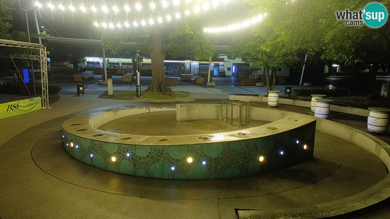 Web kamera Fontana piva – Zeleno zlato – Žalec