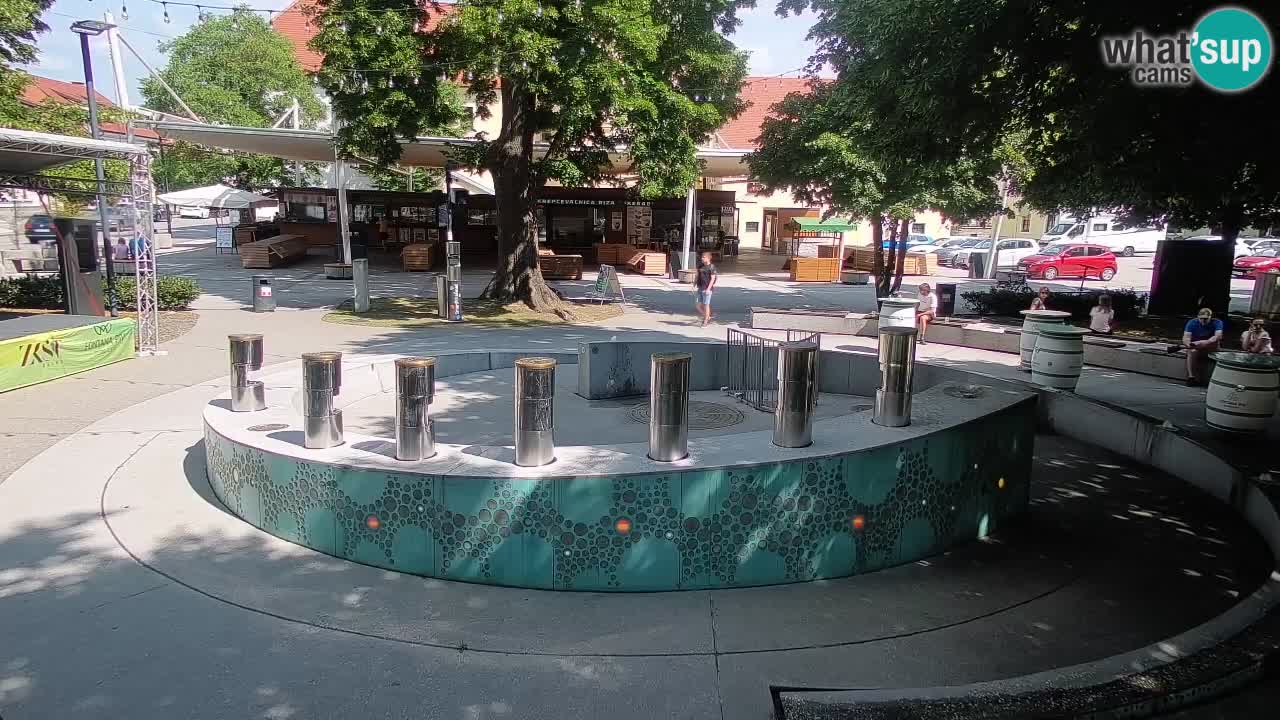Bier-Springbrunnen Webcam Žalec – Grünen Goldes