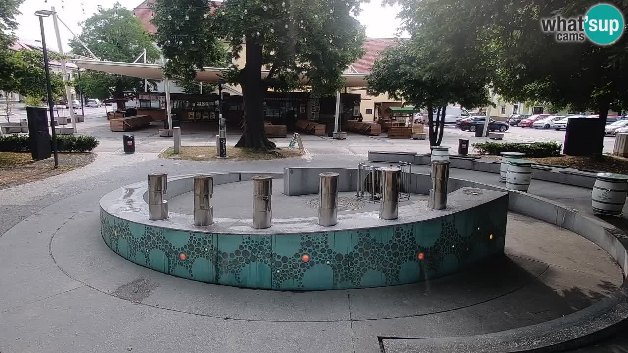 Web kamera Fontana piva – Zeleno zlato – Žalec