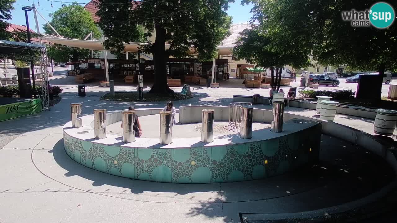 Fontaine à bière LIVE webcam – Or vert – Žalec