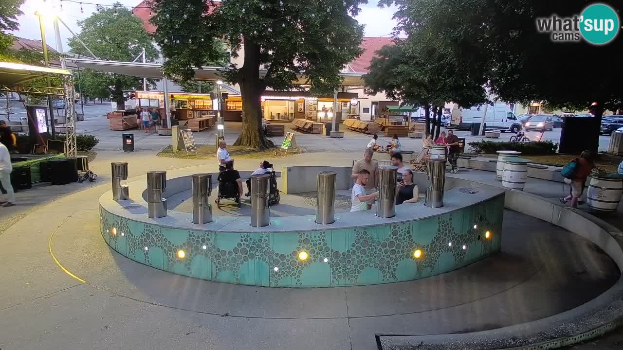 Spletna kamera Fontana Piv – Zeleno zlato Žalec
