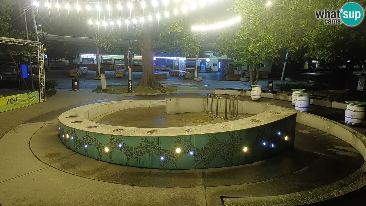 Bier-Springbrunnen Webcam Žalec – Grünen Goldes