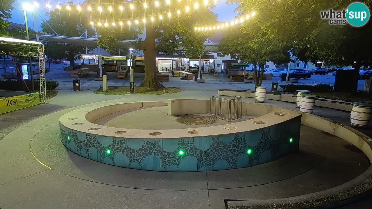 Camera en vivo Fuente de cerveza – Oro verde – Žalec