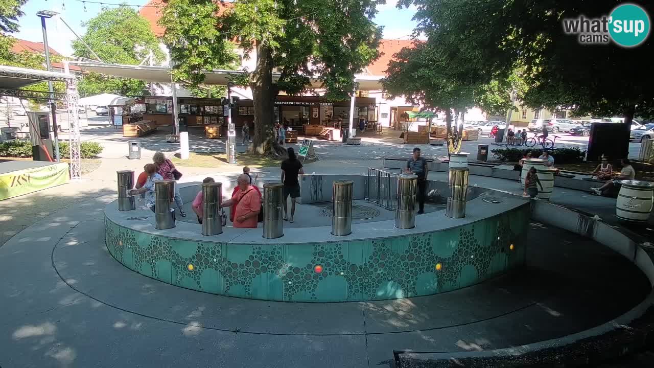 Camera en vivo Fuente de cerveza – Oro verde – Žalec