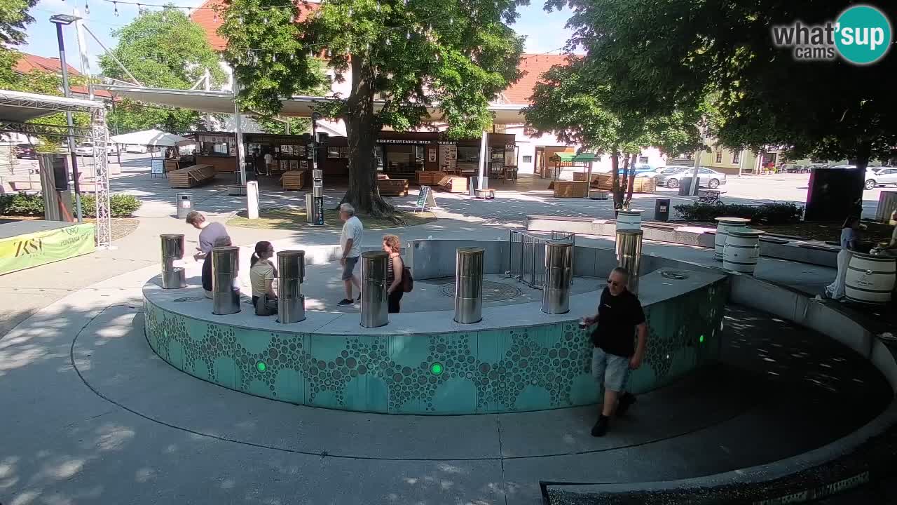 Bier-Springbrunnen Webcam Žalec – Grünen Goldes