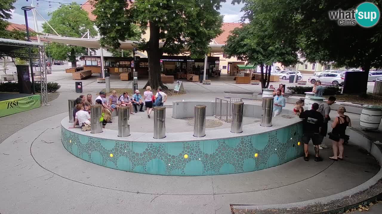 Fontana di birra Webcam – Oro verde – Žalec
