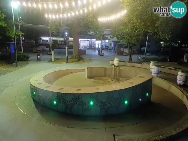 Bier-Springbrunnen Webcam Žalec – Grünen Goldes