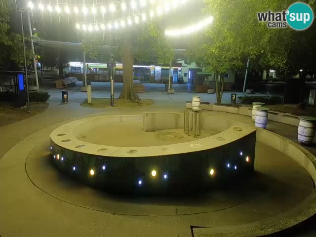 Camera en vivo Fuente de cerveza – Oro verde – Žalec