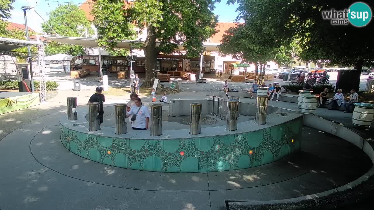 Fontaine à bière LIVE webcam – Or vert – Žalec