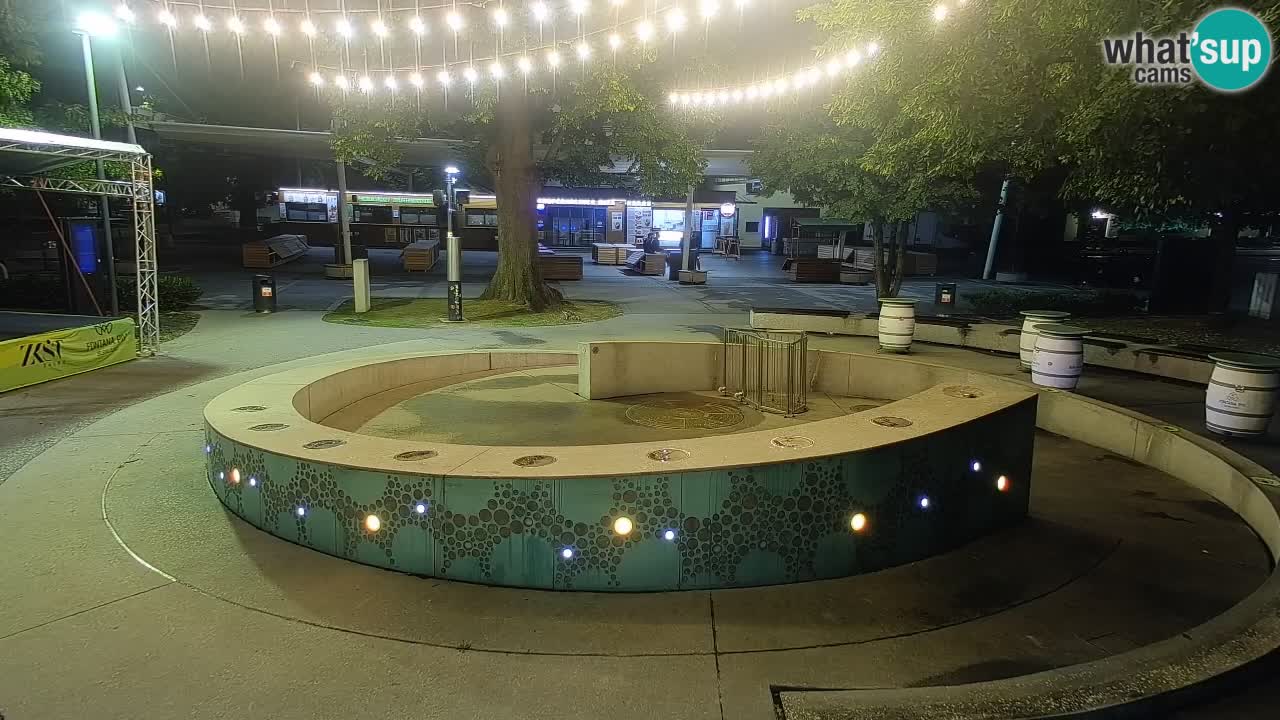 Fontaine à bière LIVE webcam – Or vert – Žalec