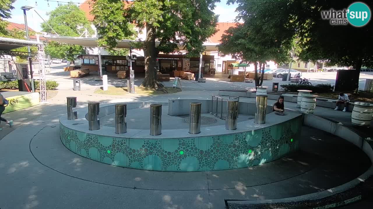 Web kamera Fontana piva – Zeleno zlato – Žalec