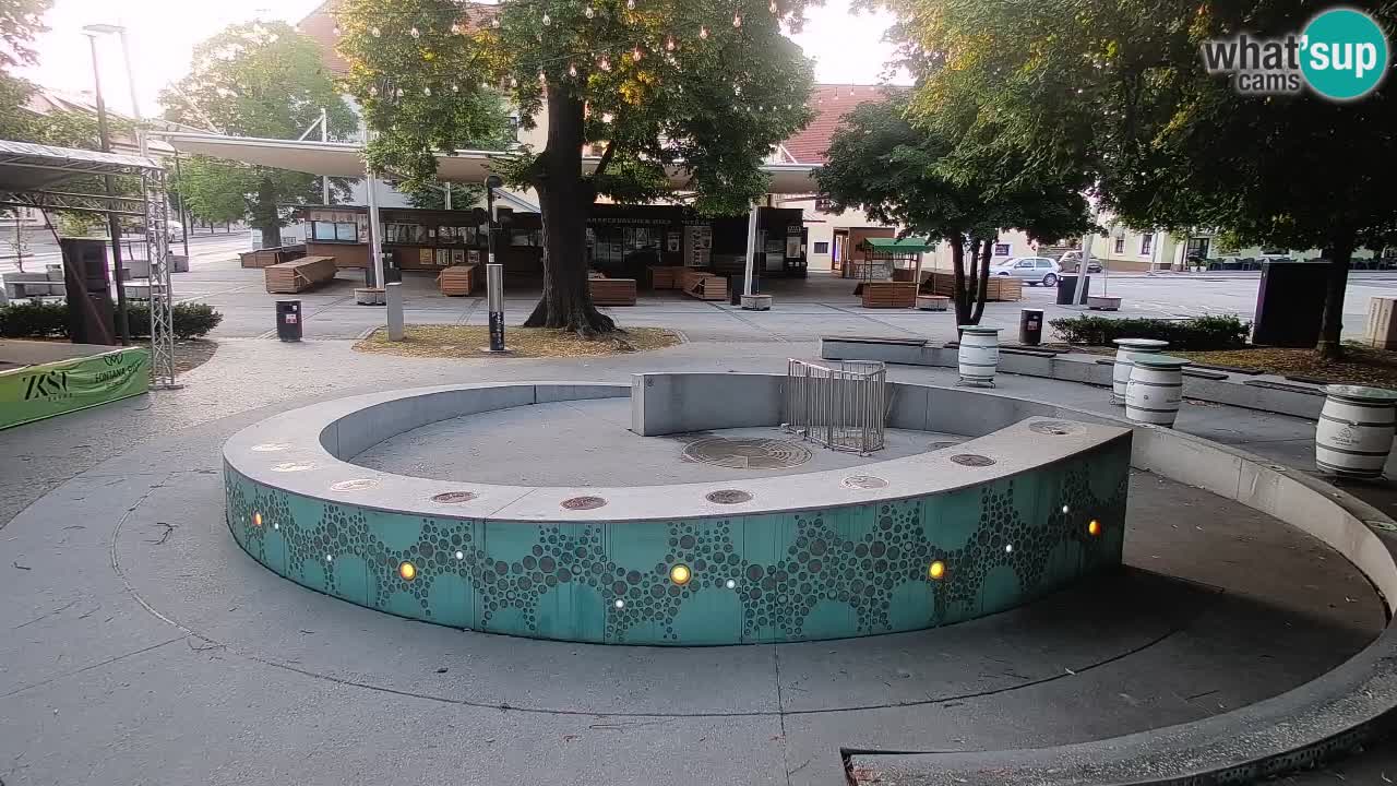 Fontana di birra Webcam – Oro verde – Žalec