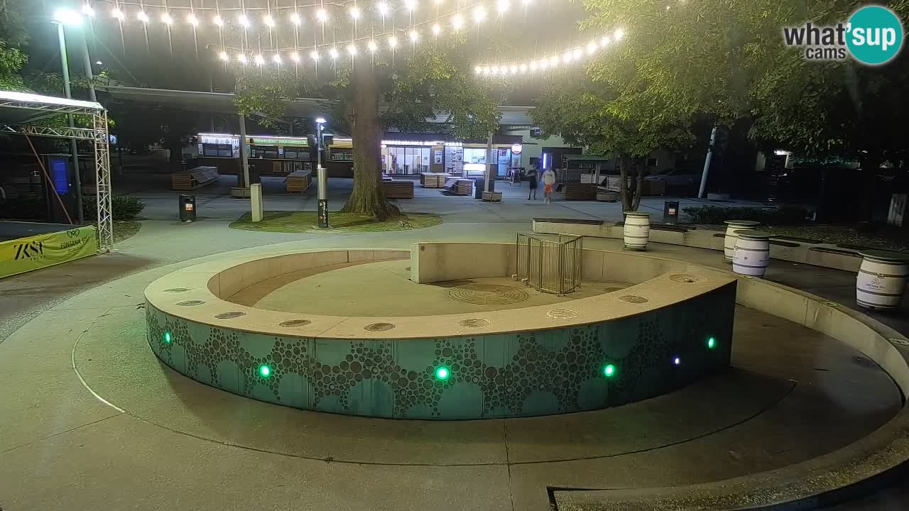 Camera en vivo Fuente de cerveza – Oro verde – Žalec