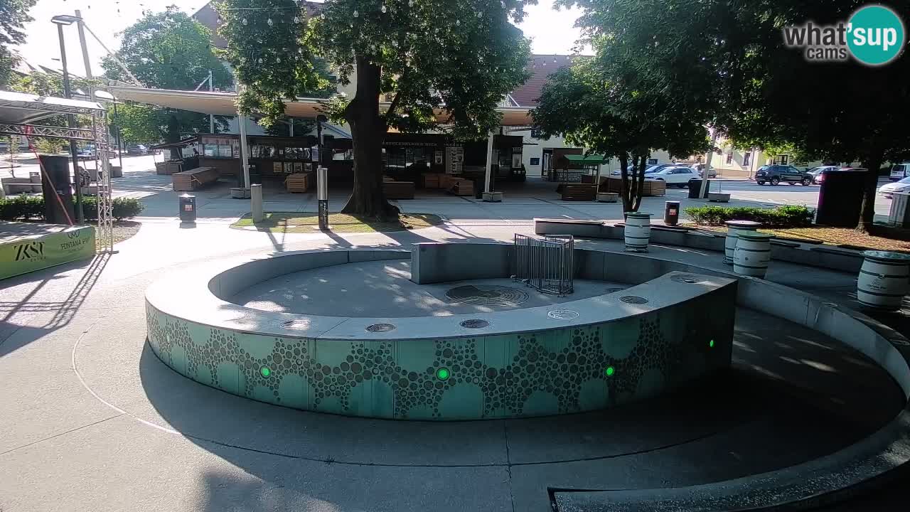 Spletna kamera Fontana Piv – Zeleno zlato Žalec